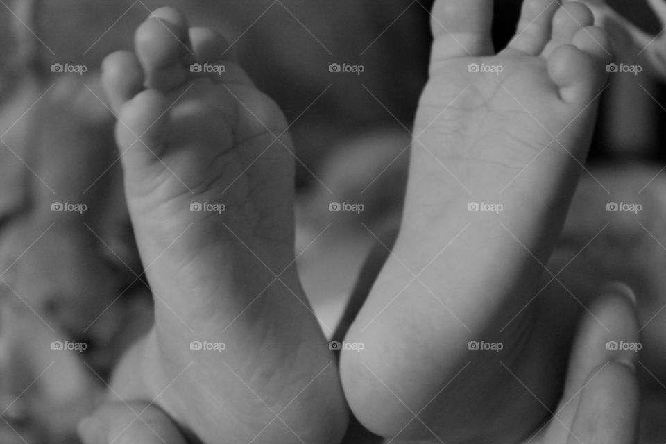 feet of a newborn baby. heels of the child. children's legs. a touching family photo. child