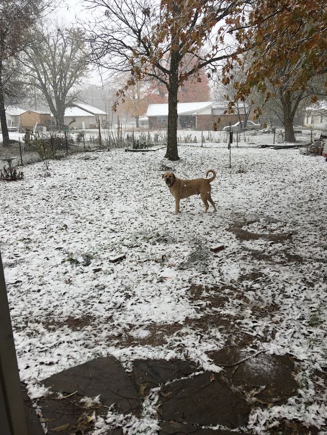 1st snow 