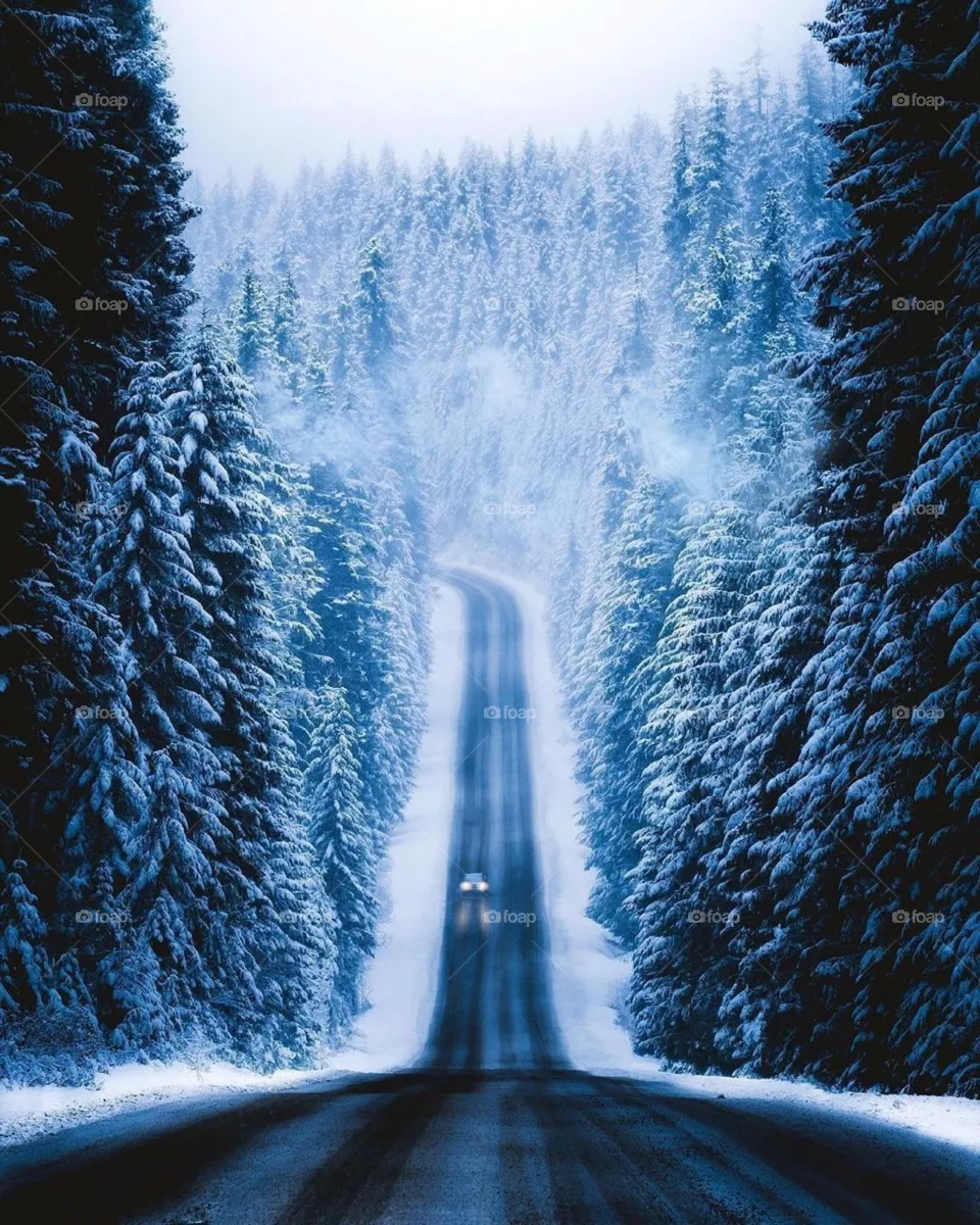 natural ace road