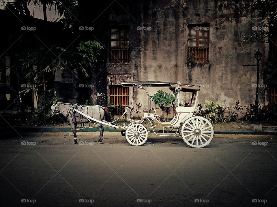 Carriage