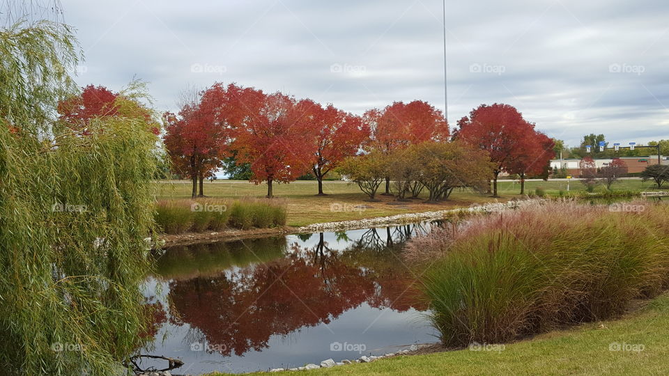 Fall foliage reflecting in the water