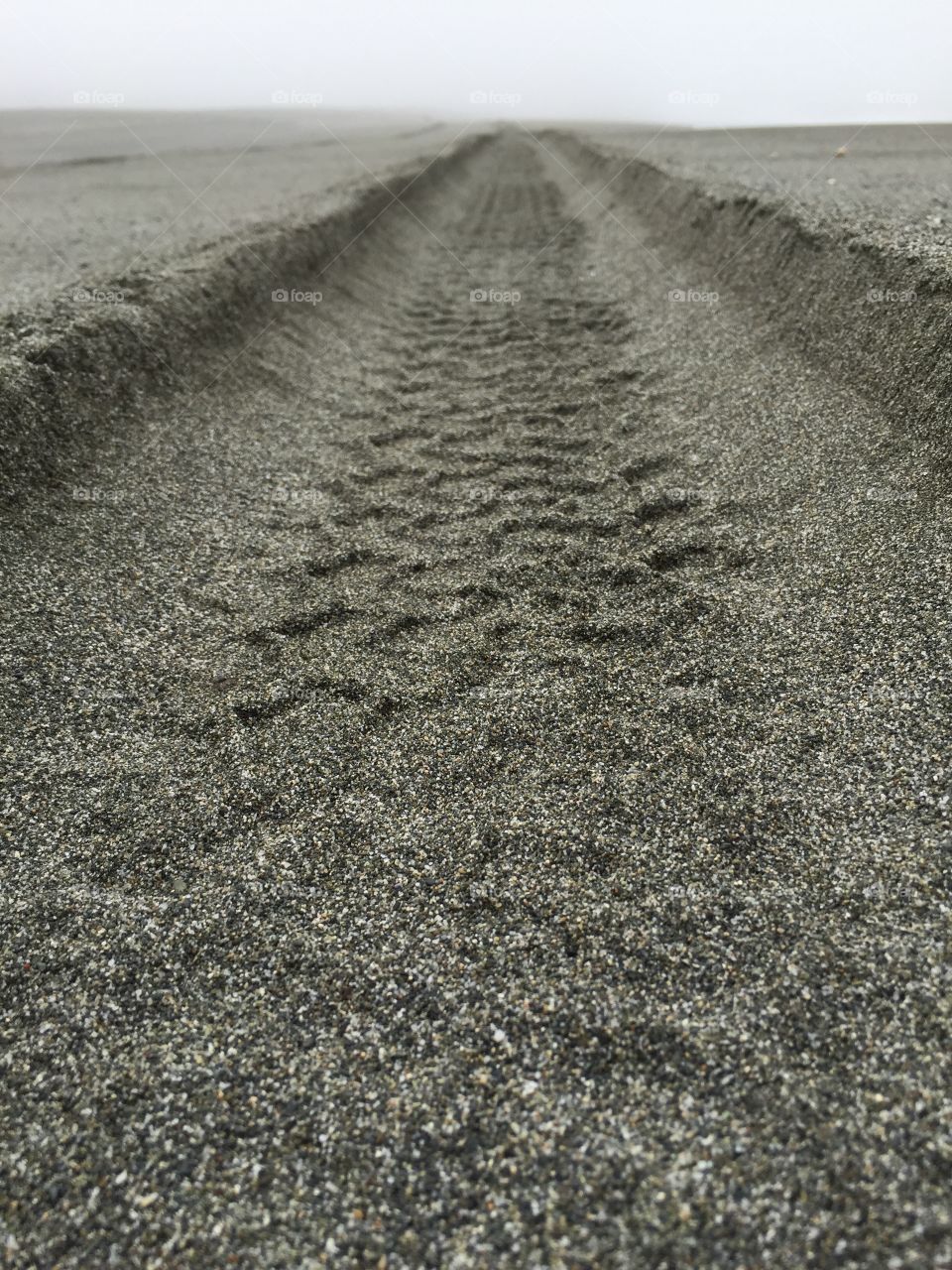 Treads on the beach!