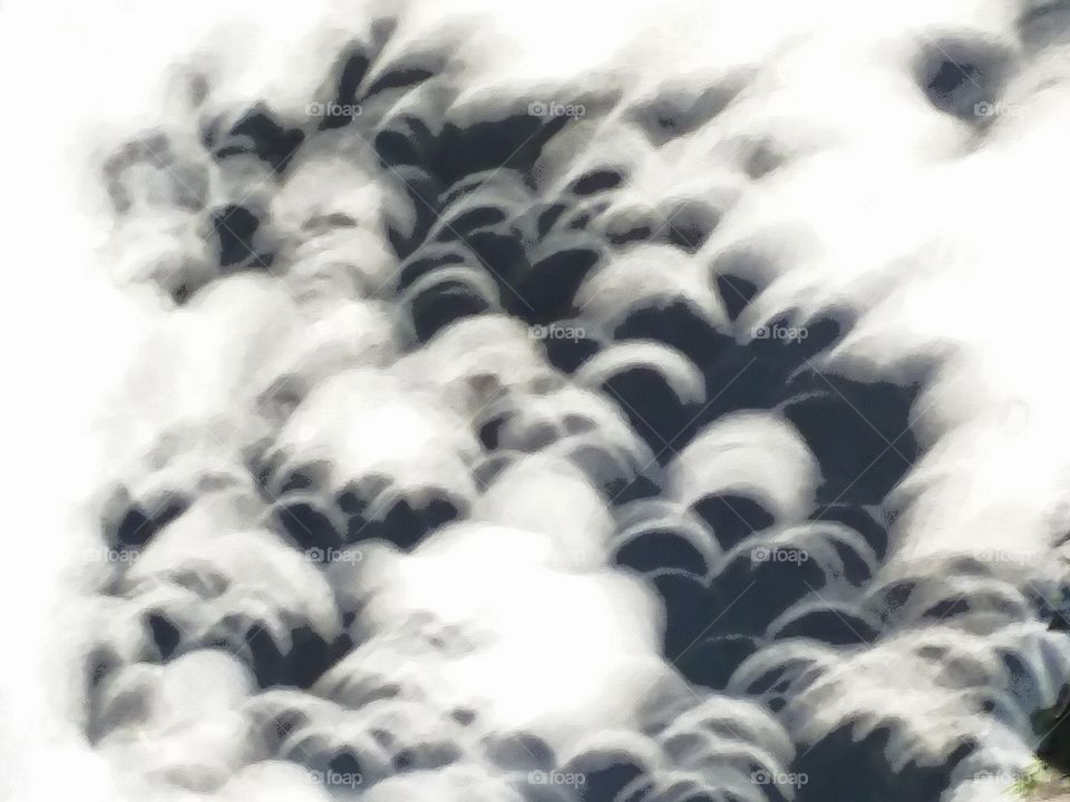 eclipse leaf shadows