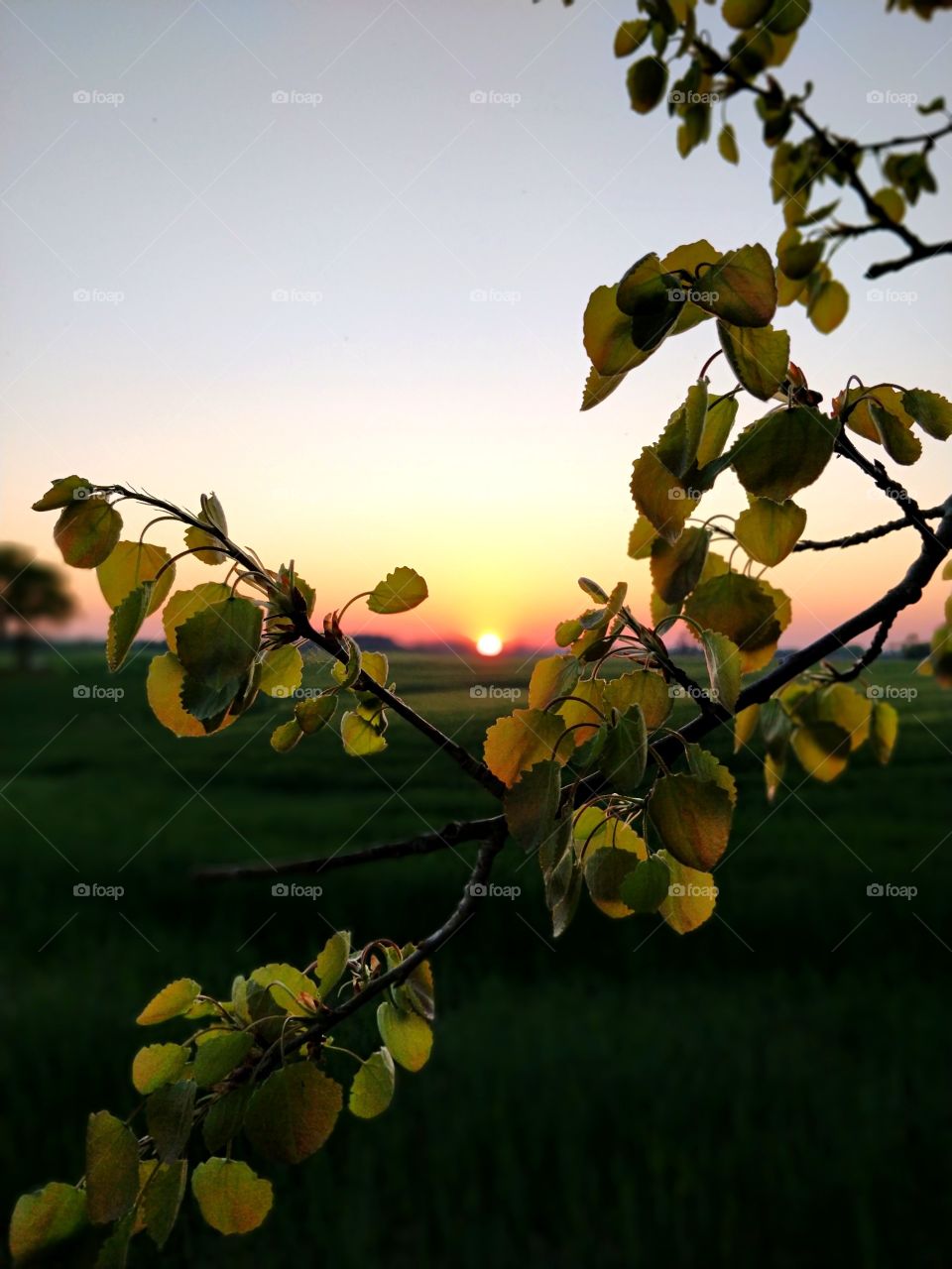 no words needed- wonderful