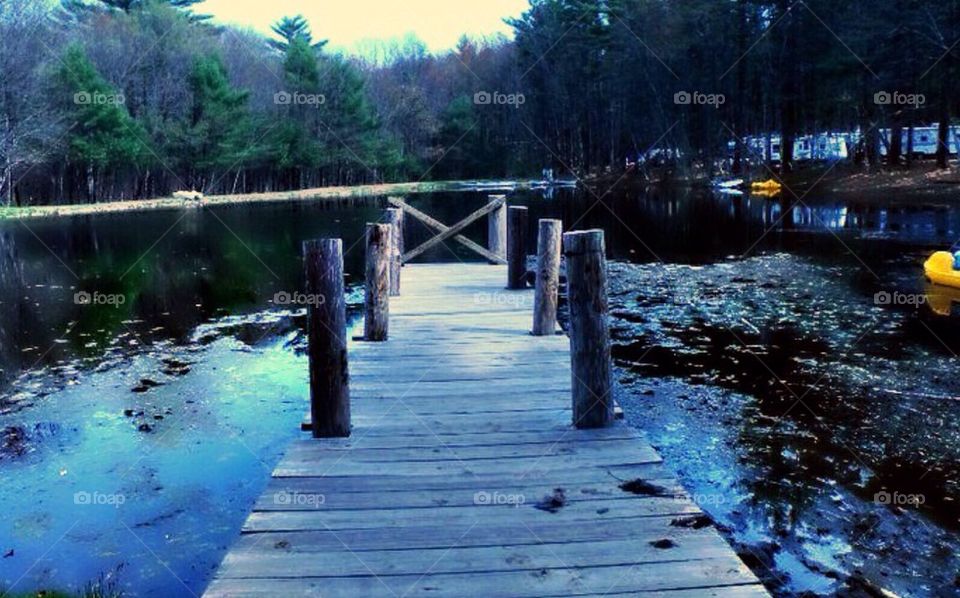 united states trees rhode island dock by amieeleeangel223