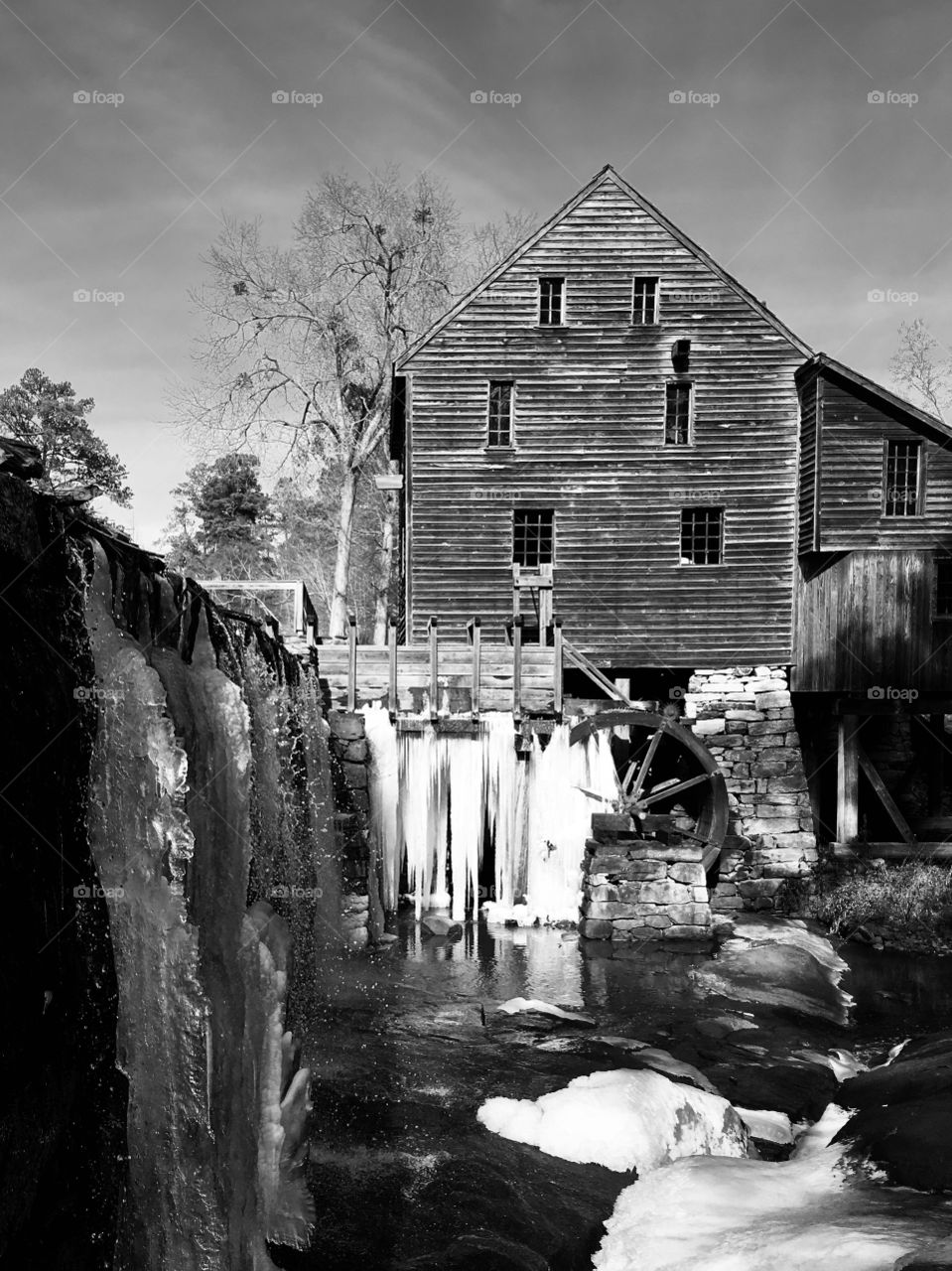 Mill in January 