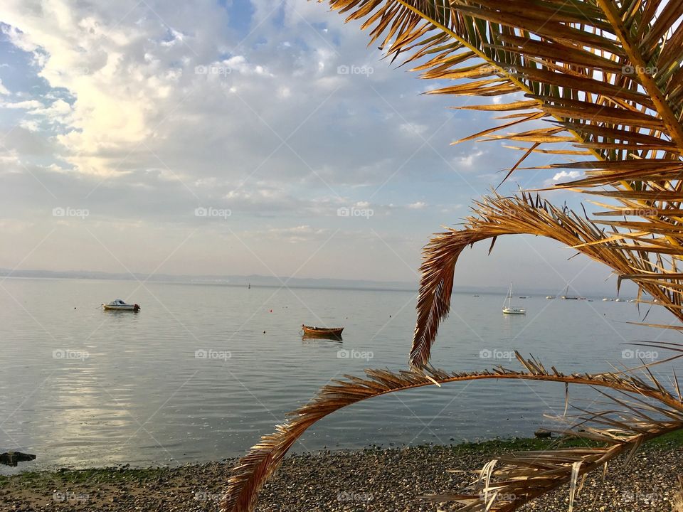 The Silence of Autumn 