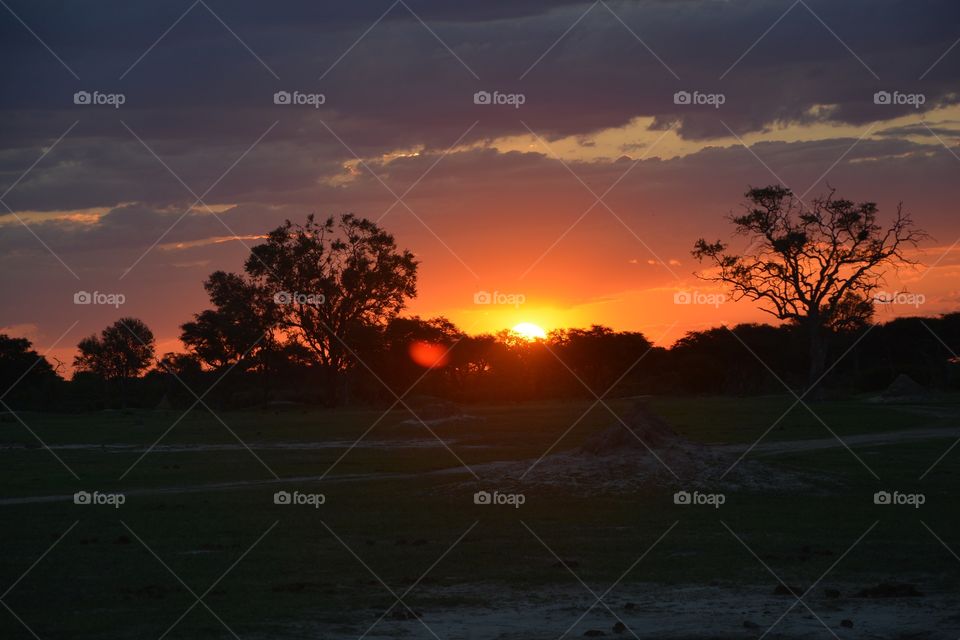 African sunset Northern Tuli Reserve Botswana 