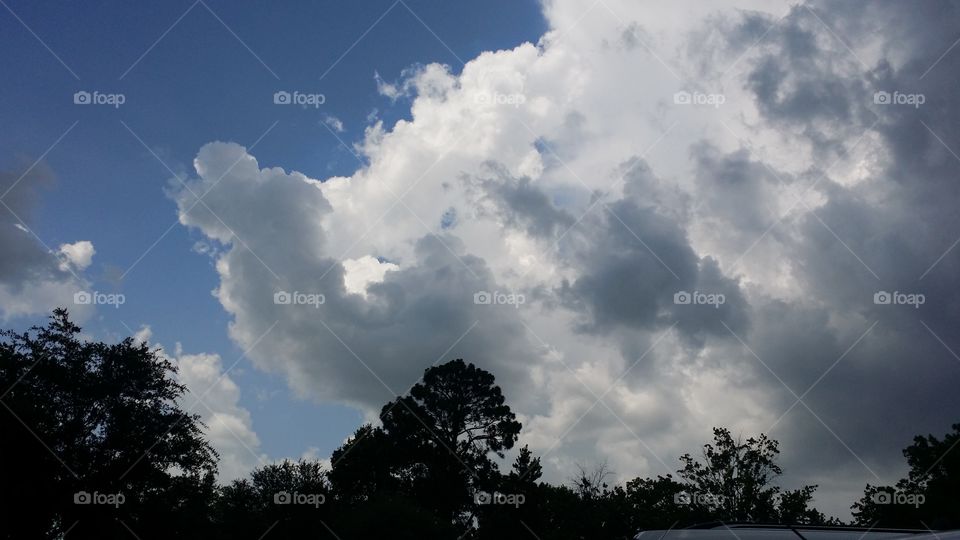 Turtle cloud. I was at the park with my grandsons and saw this cloud formation.
