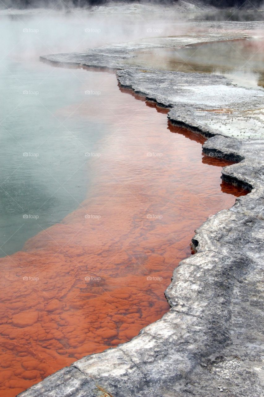 Detail, Hot Springs, NZ 