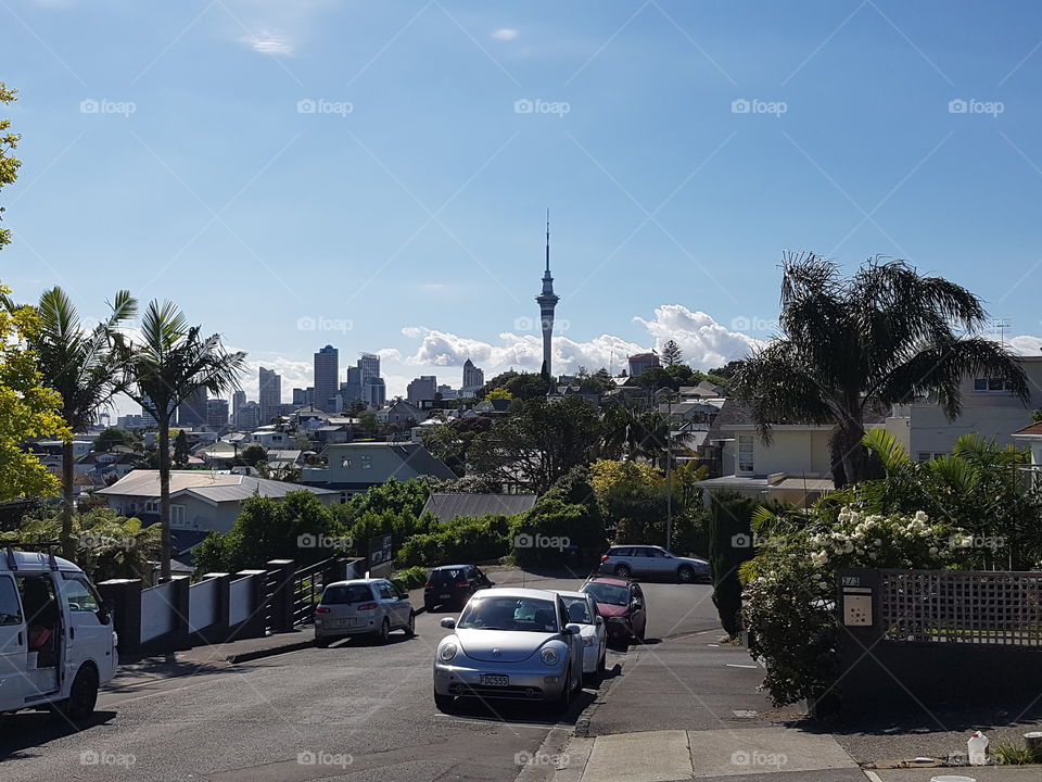 Auckland City Street