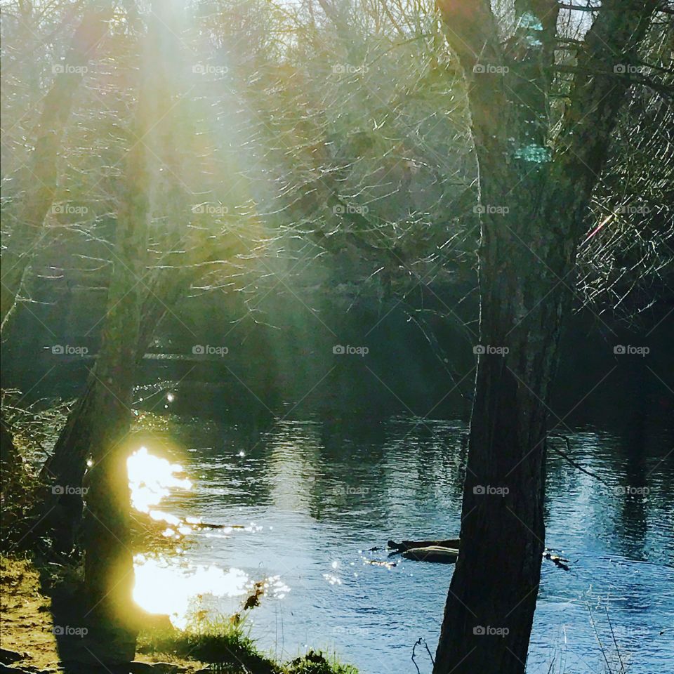 Sunbeams on River