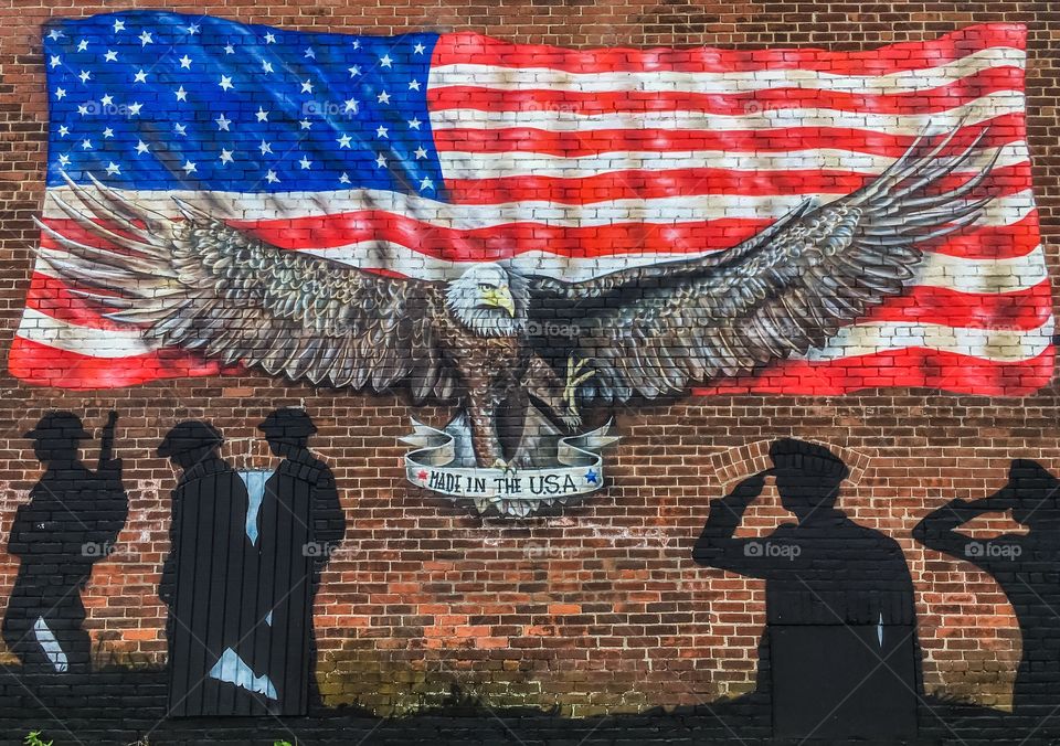 Beautiful mural honoring our Veterans.  American flag represented with a Bald Eagle. 