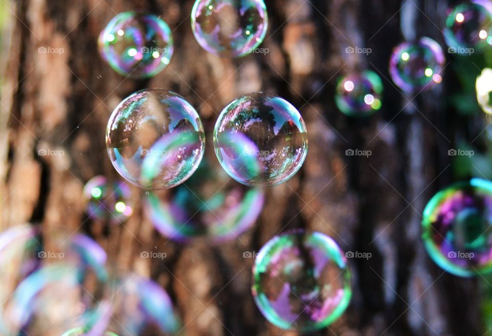 Abstract view of bubbles