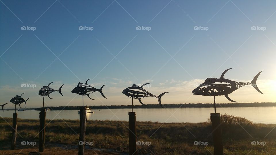 Sculptures by the Broadwater