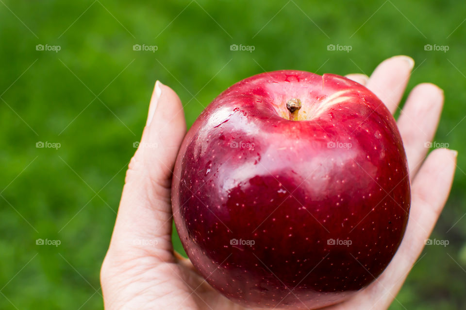 Woman hand holding red apple