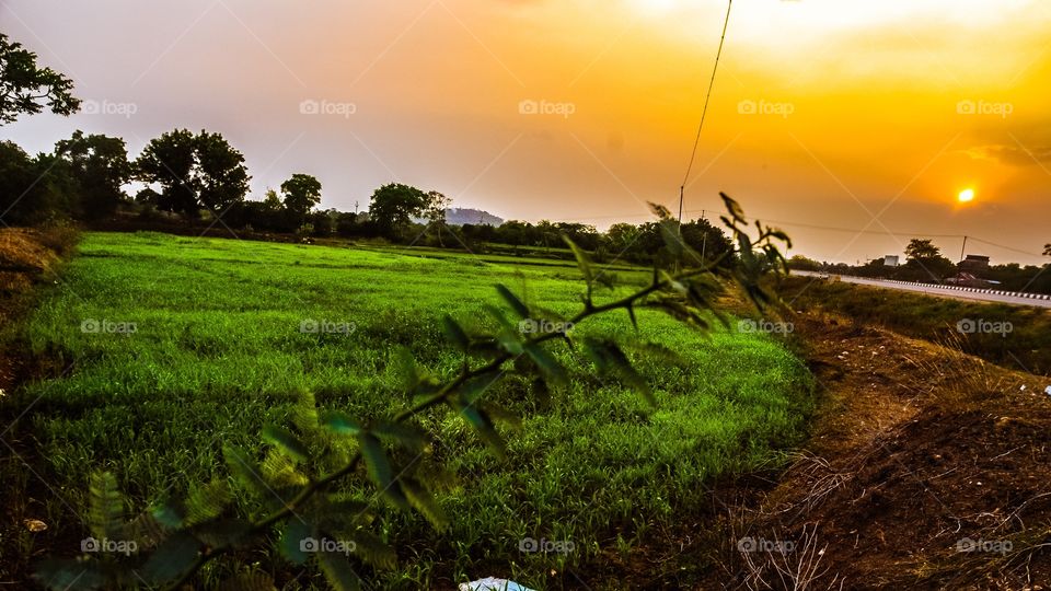 Agriculture field in the countryside during sunset