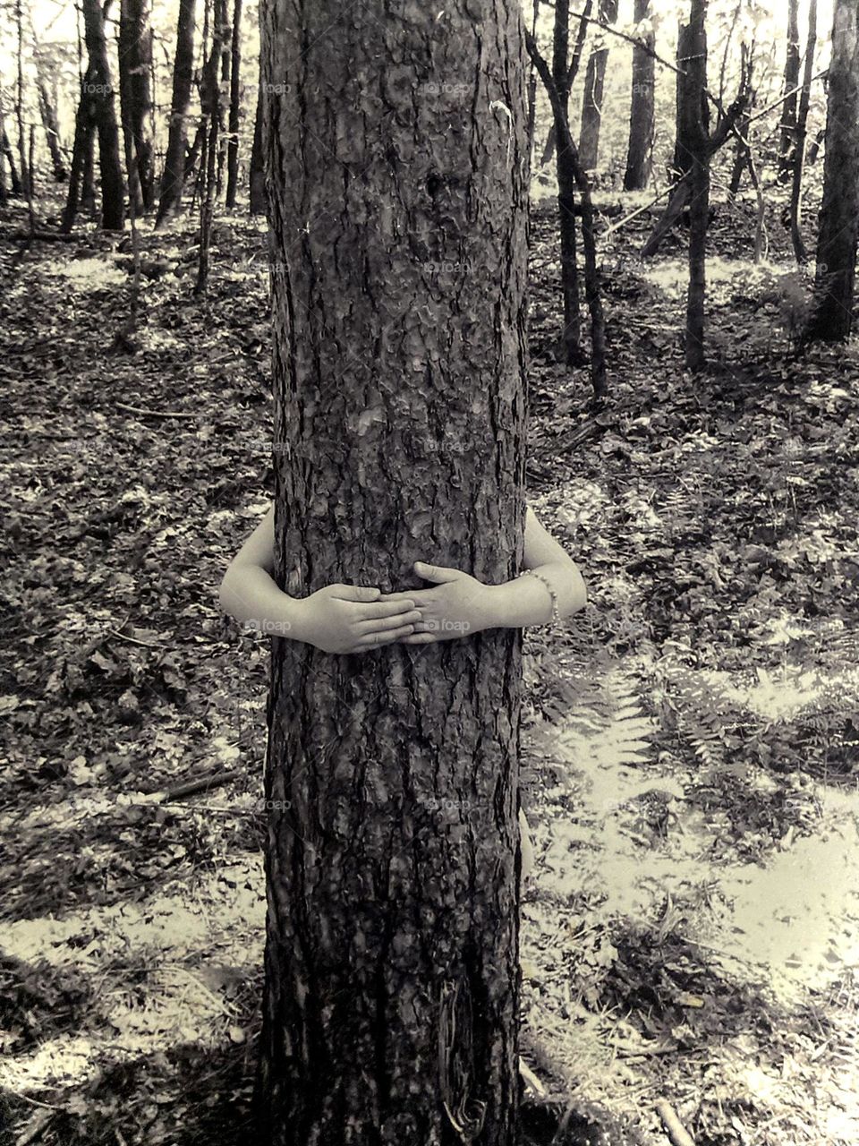 A young girl hugs a tree.