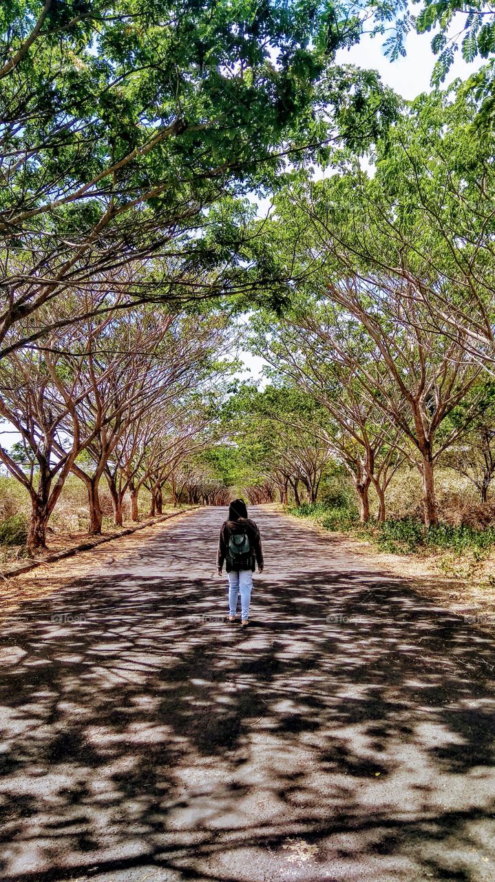 walking alone to the forest
