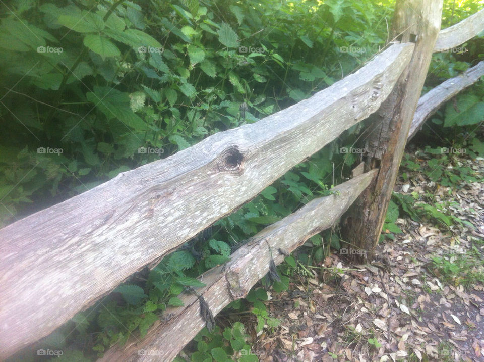 green wood summer fence by calmatsar