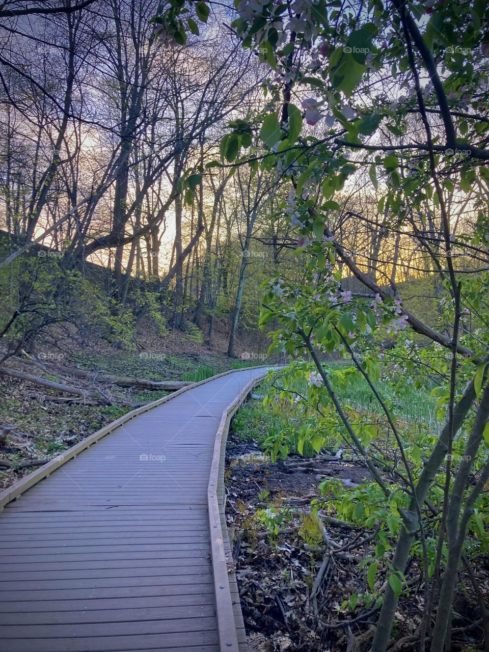 This path can only lead to good vibes only