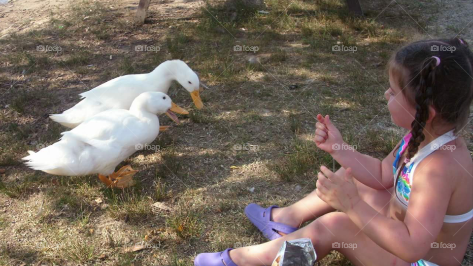 Watching ducks tell secrets