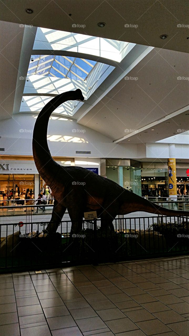 Dinosaur roaming the local mall.