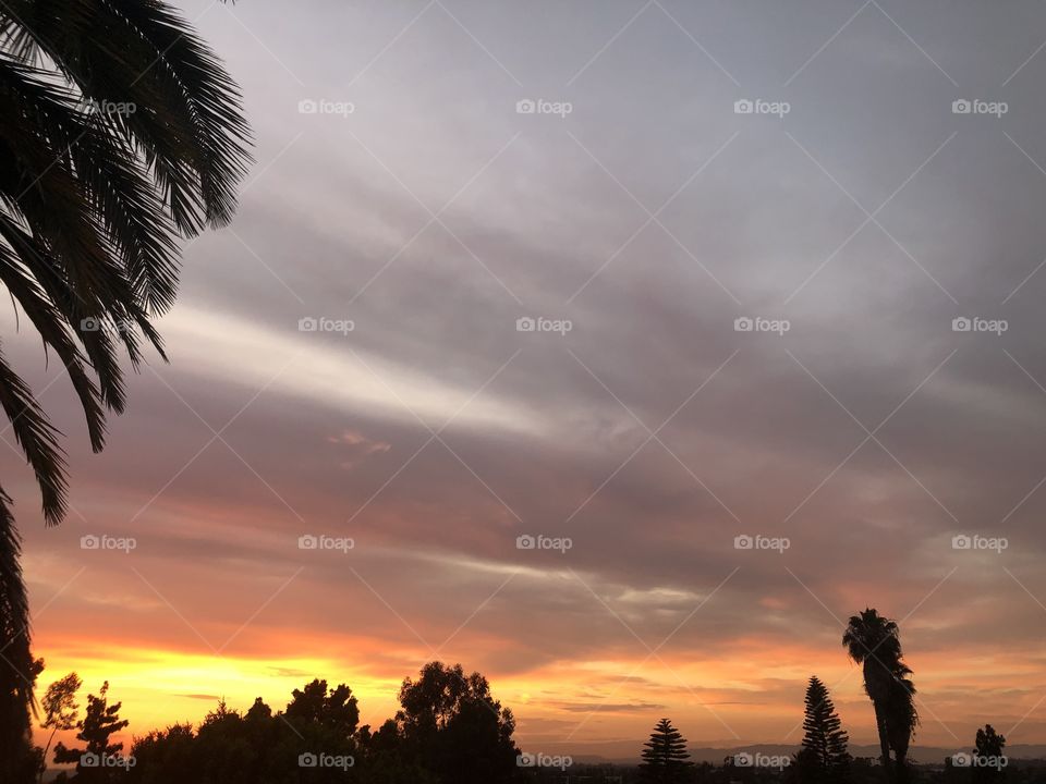 Clouds sunset palm tree mountains California 
