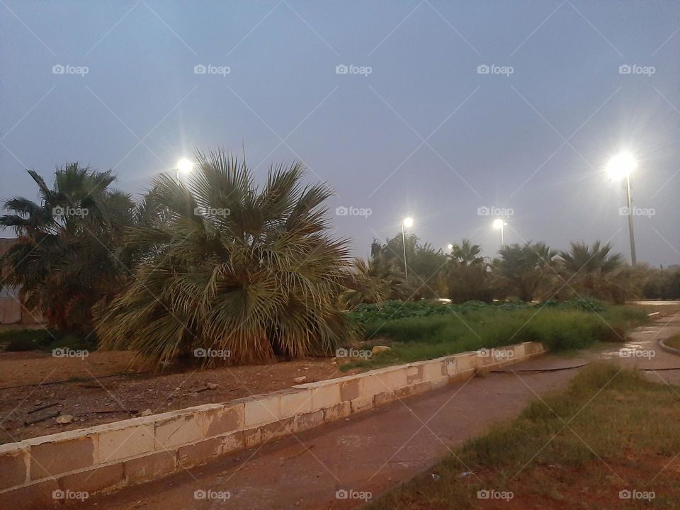 Please help me, I am very poor, I need your support and God is in need