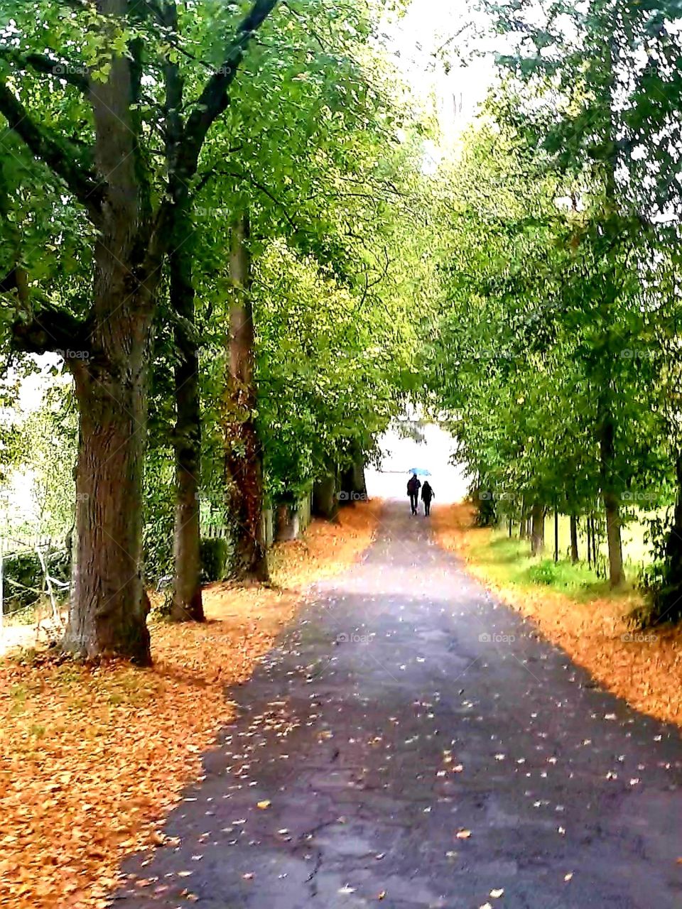 Herbst    Regen   Zwei
