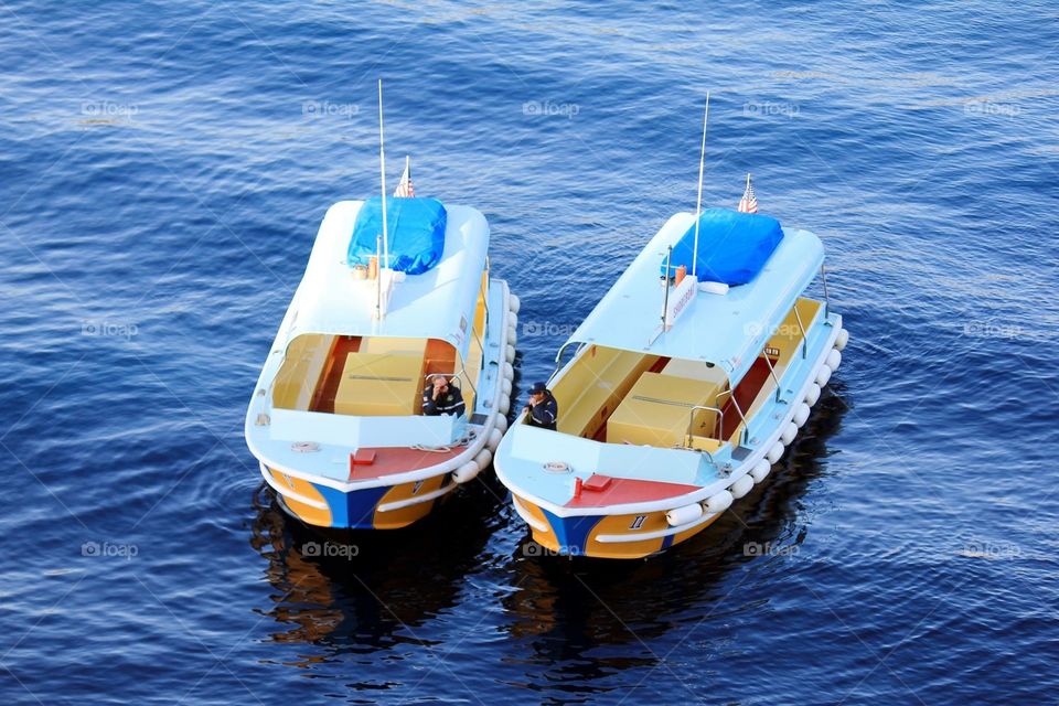 Boat 🚣 to Catalina Island 🌴.
