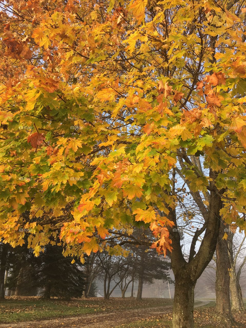 Fall in Pennsylvania 