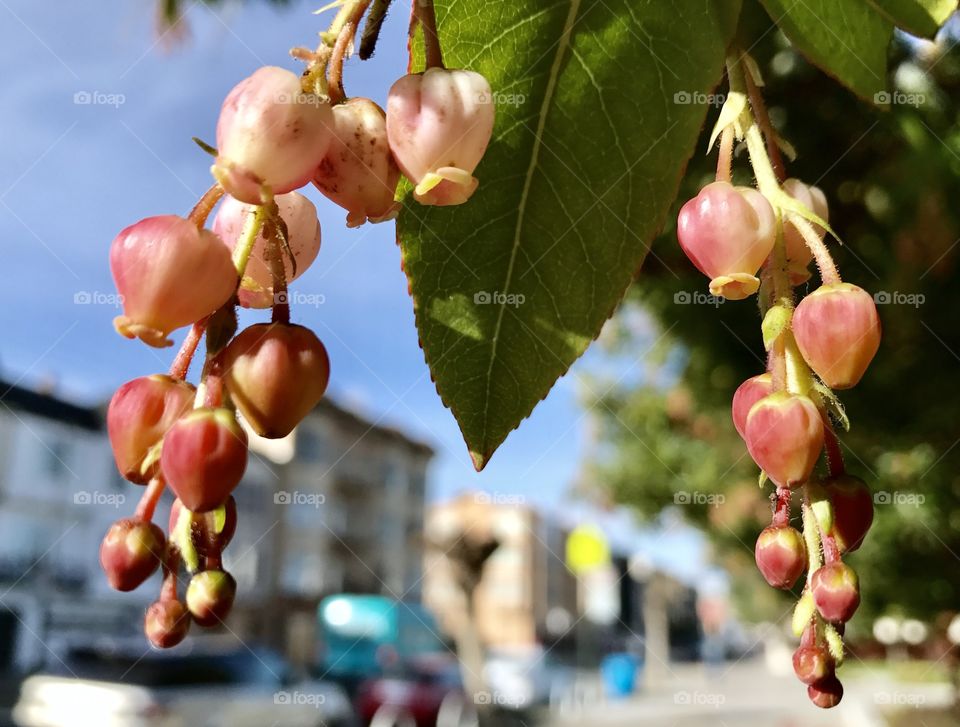 Pretty flowers hanging in a planter box in the city