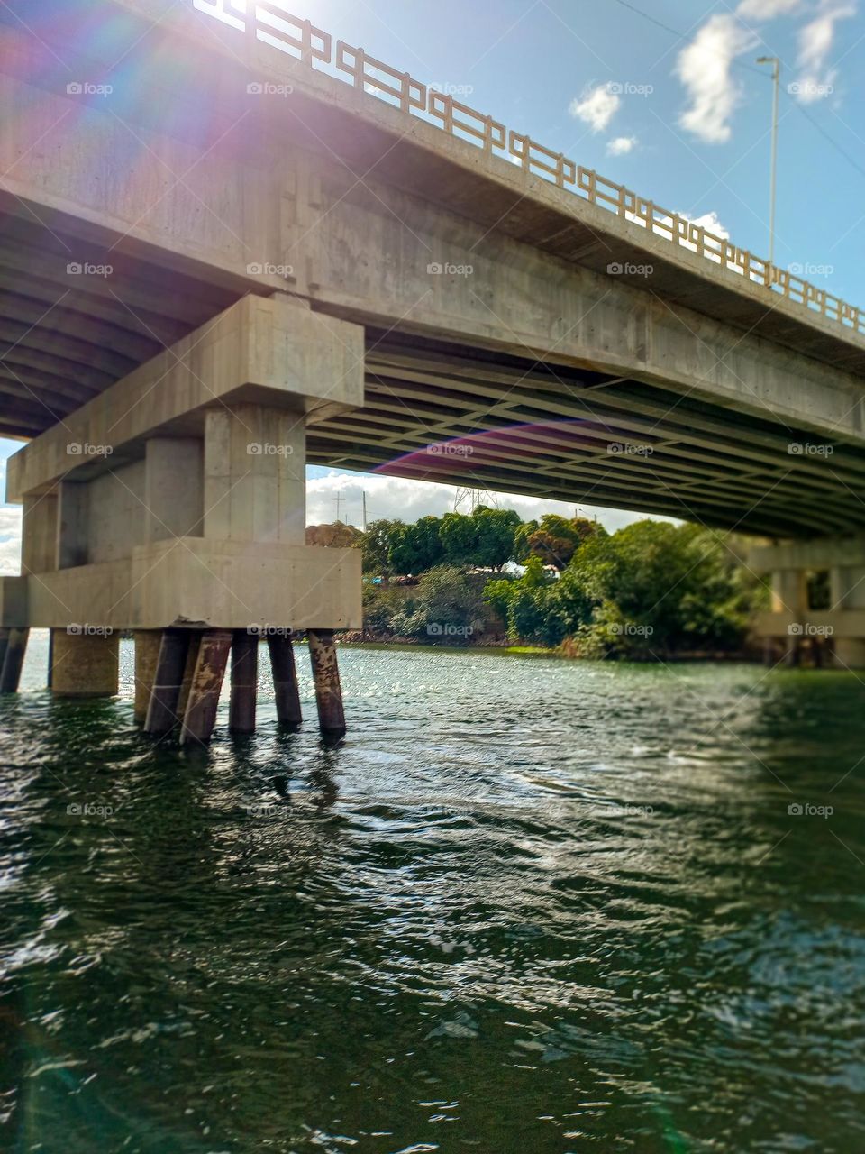 jujuazeiro Bahia de Salvador