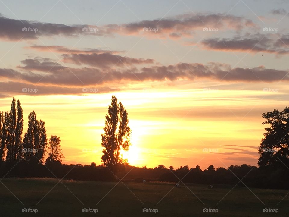 Hertfordshire, England.