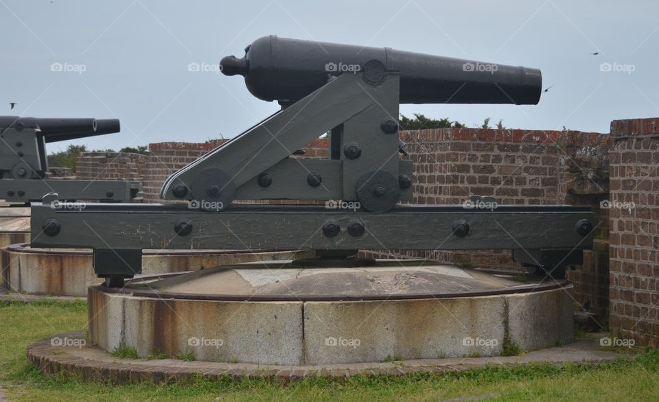 cannon