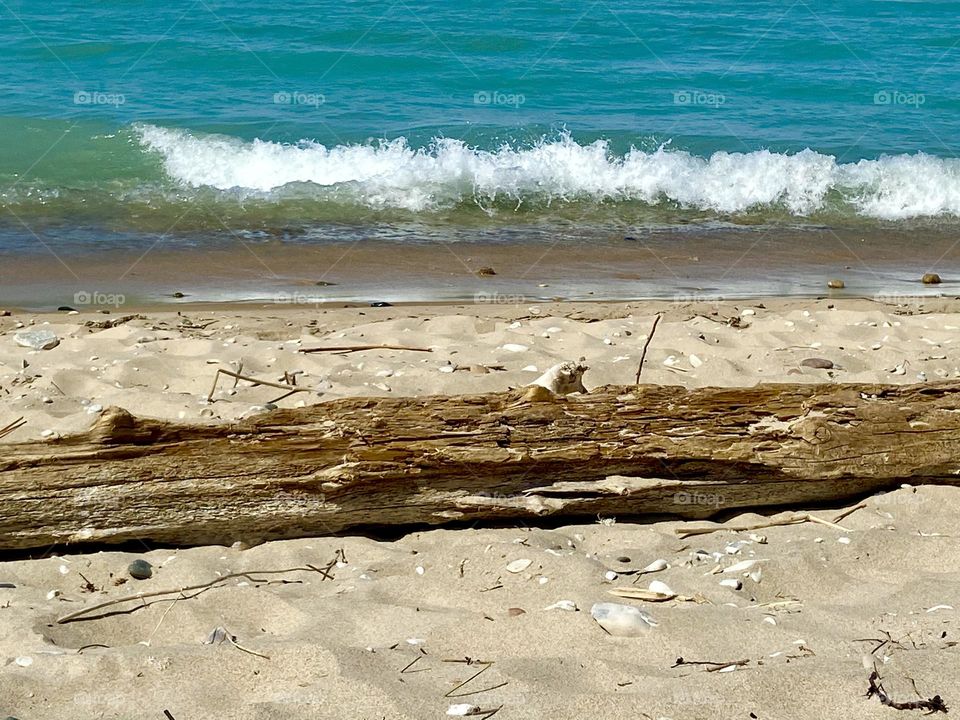 Driftwood on Sandy beach on Lake Huron in Northern Michigan