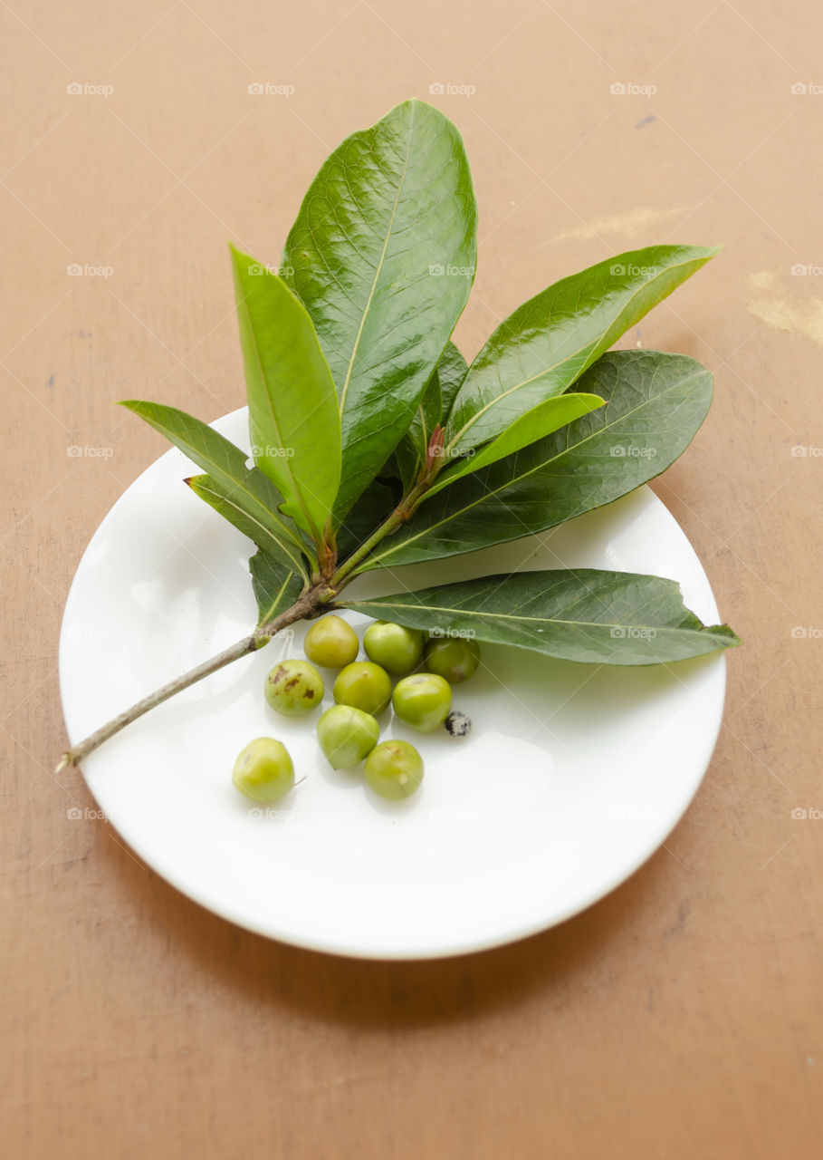 Hogberry Leaves, Fruits, and Seed