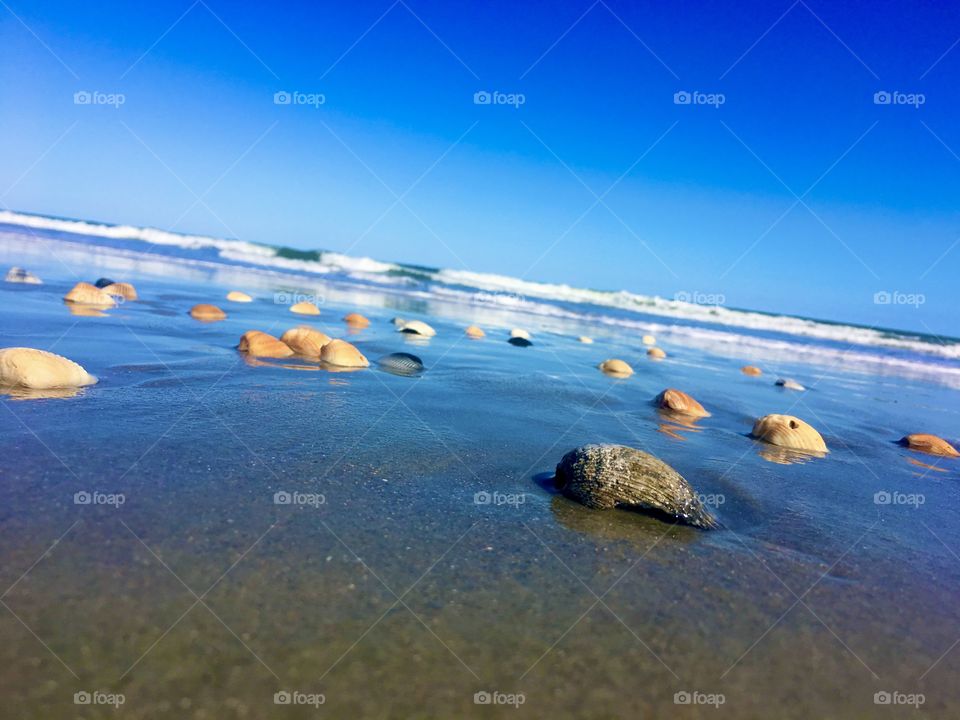 the mystical reflection of the shells and sky in the wet sand with the magical ocean waves crashing ashore in the background.