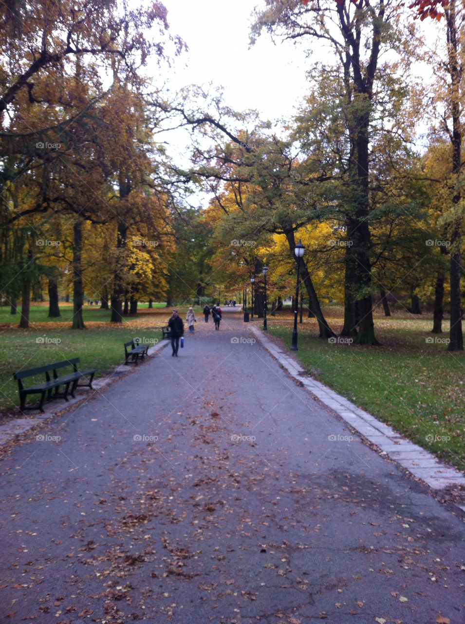 fall autumn oslo mission5 by nader_esk