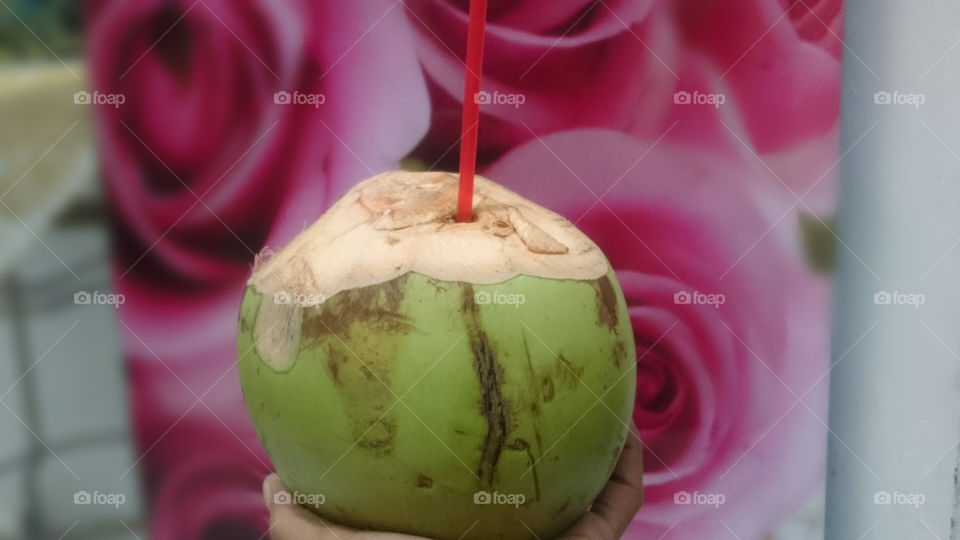 The Coconut