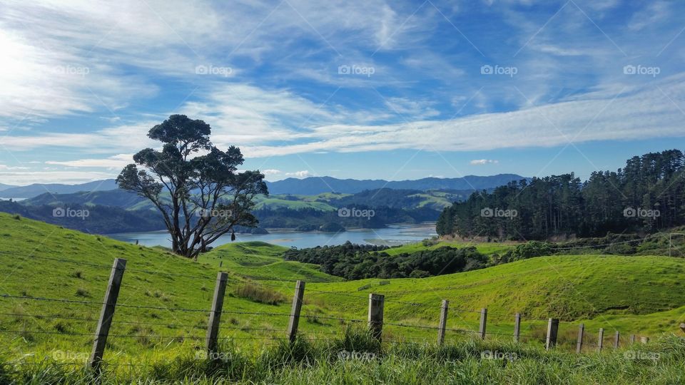 New Zealand countryside.