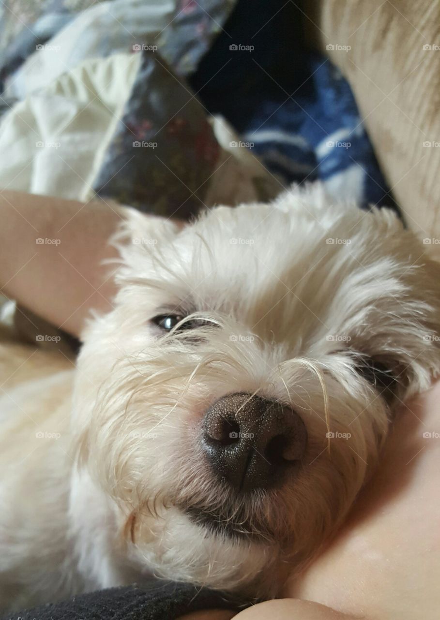 look into my eyes ... your getting very sleepy