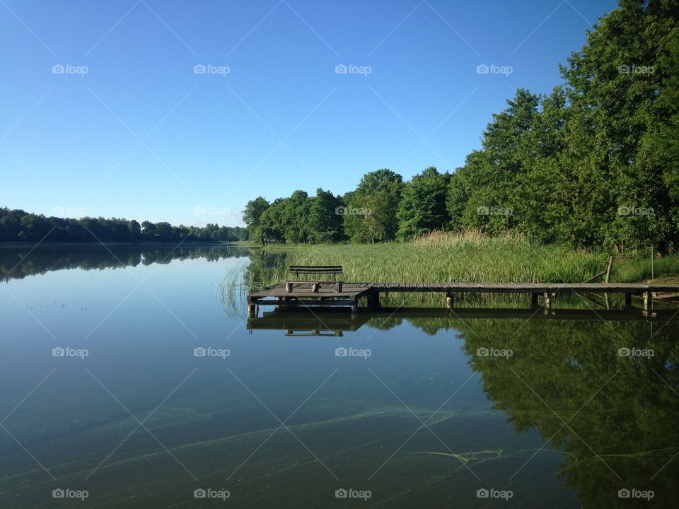 Lake, Water, River, Reflection, Tree