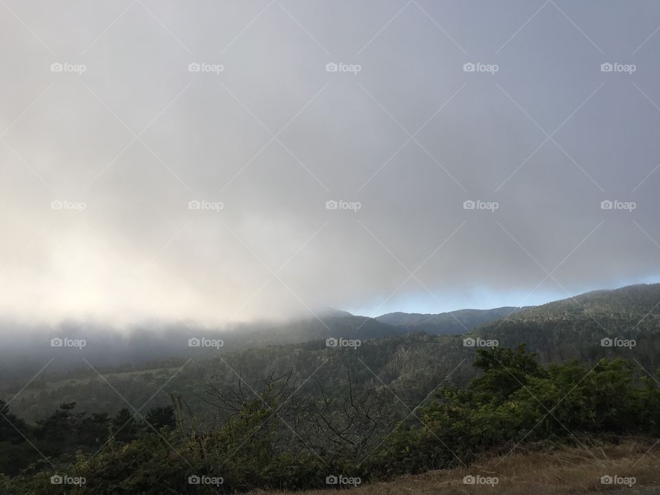 Beautiful drive home from the beach as the fog rolls in