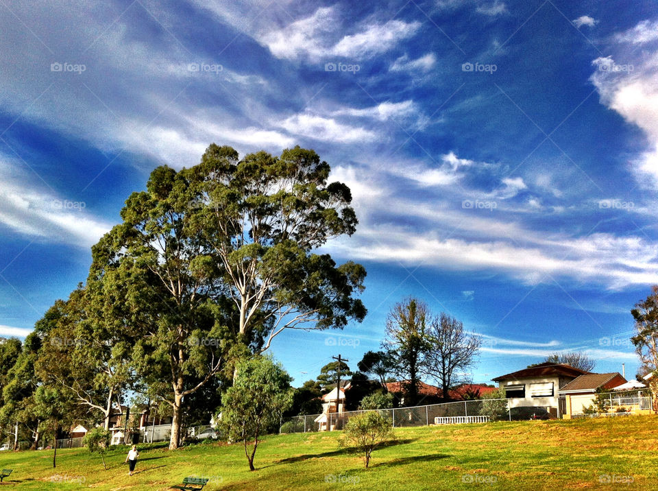 sky field nature blue by king