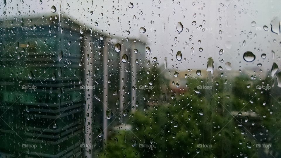 Rain