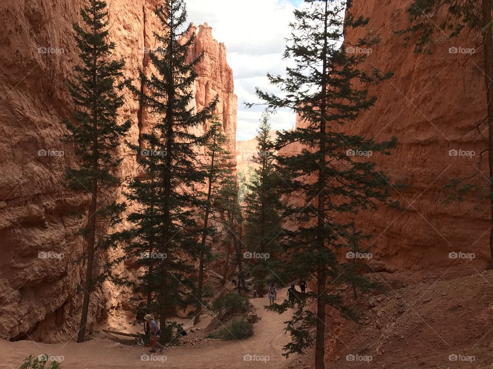 Bryce Canyon 