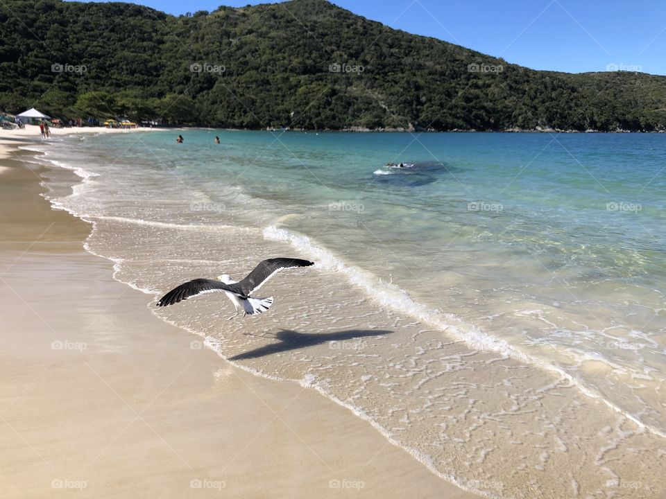 Arraial do Cabo. Brasíl.