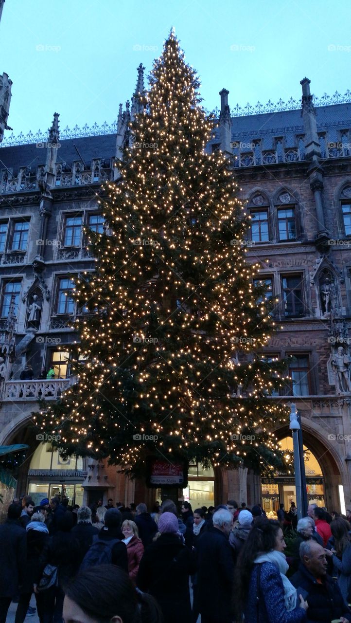 Christbaum Marienplatz - Christmas tree